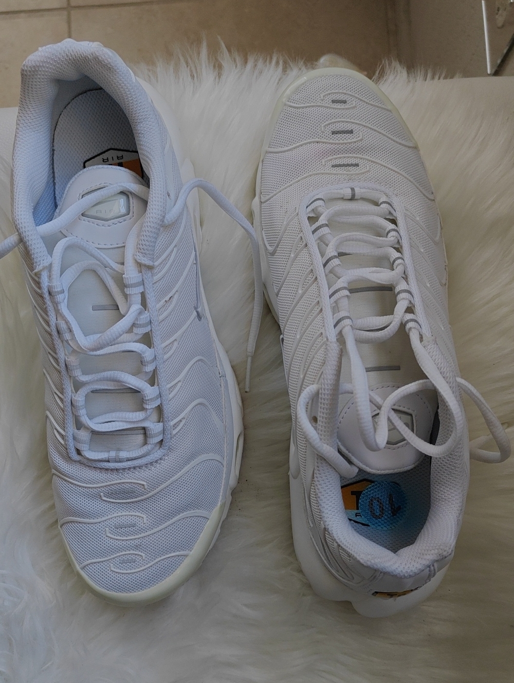 Nike Air Max Plus Women's Triple White Trainers